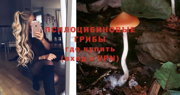 прущий лед Богородск
