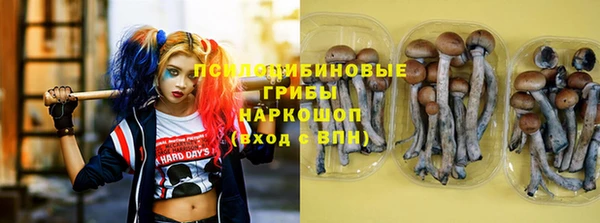 прущий лед Богородск