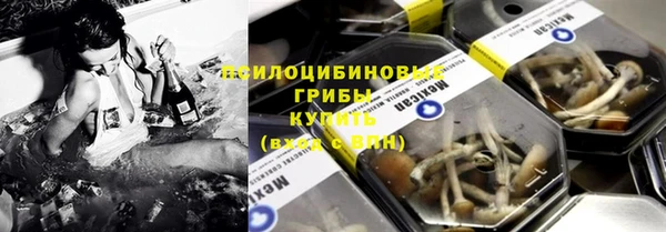 мет Богданович