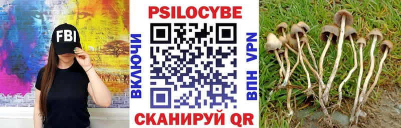 Галлюциногенные грибы Psilocybe  магазин    Плёс 